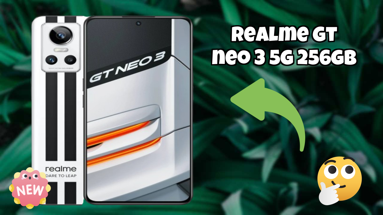 Realme GT Neo 3 5G 256GB Camera Review: 50 MP + 8 MP + 2 MP Rear Camera Photo Quality